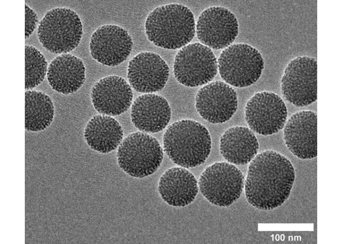 Imagen microscópica de las partículas sensibles al sonido creadas por los investigadores (Fotografía cortesía de Andrew Goodwin/CU Boulder)