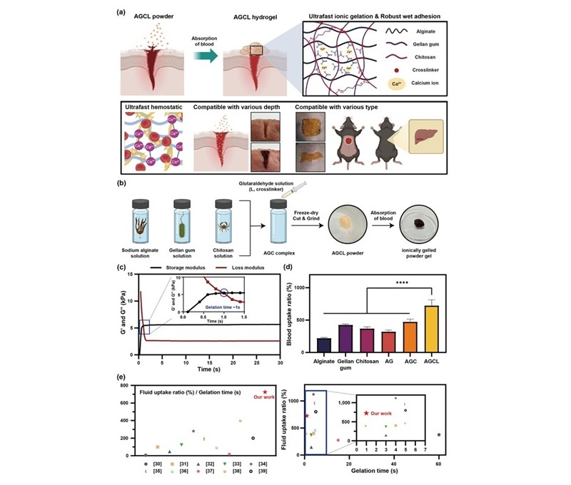 Imagen: estrategia de desarrollo de polvo AGCL y esquema de fabricación (Advanced Functional Materials (2025). doi.org/10.1002/adfm.202523910)