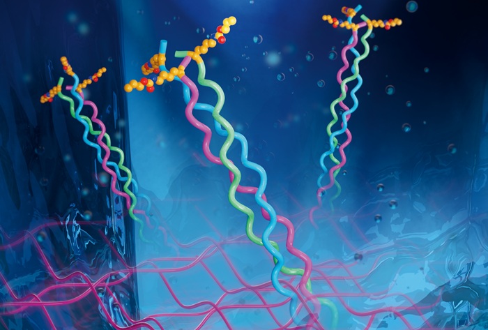 Imagen: el hidrogel peptídico utiliza una química activada por luz para sellar heridas y favorecer la reparación de los tejidos (Fotografía cortesía del Dr. Emilio Alarcón/Universidad de Ottawa)