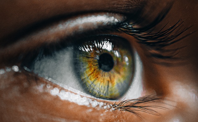 Imagen: Una nueva investigación muestra que las evaluaciones especializadas del movimiento ocular pueden detectar cambios cerebrales sutiles que podrían no aparecer en exploraciones estándar (Fotografía cortesía de Adobe Stock)