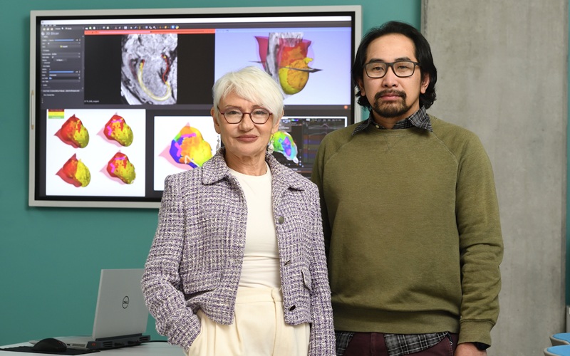 Imagen: Autora principal Natalia Trayanova y coautor principal Adityo Prakosa. Detrás de los investigadores se ven gemelos digitales de corazones (Fotografía cortesía de Will Kirk/Universidad Johns Hopkins)