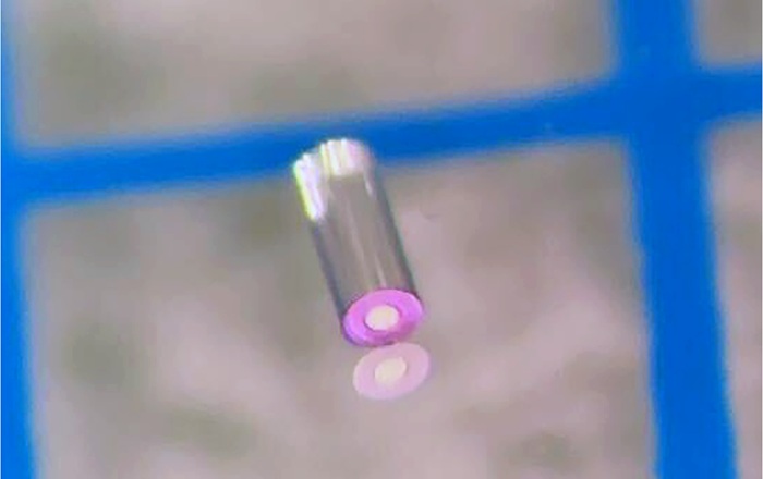 Imagen de microscopio de las lentes personalizadas de 360 ​​μm de diámetro, donde se muestra la apertura de cromo negro (aparece rosa en la imagen (Gálvez, D. et al., Biophotonics Discovery. DOI: 10.1117/1.BIOS.3.2.025001)