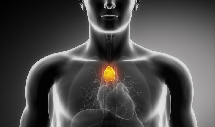 Imagen: Los investigadores sugieren que la conservación del timo puede ser factible utilizando los enfoques de planificación de radioterapia existentes sin comprometer la cobertura del tumor ni aumentar la dosis cardíaca o pulmonar (Crédito de la imagen: iStock)