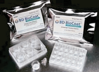 Imagen: Las cámaras de invasión BioCoat Matrigel (Fotografía cortesía de BD Bioscience).