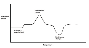 Imagen: Termograma de la calorimetría de barrido diferencial (DSC) (Fotografía cortesía de la Universidad de California, Davis).