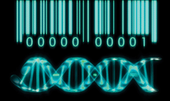 Imagen: Un método basado en la detección de ADN-código de barras-anticuerpos permite el análisis de una multitud de proteínas para los aspirados, mínimamente invasivos, de aguja fina (Fotografía cortesía de Roche)