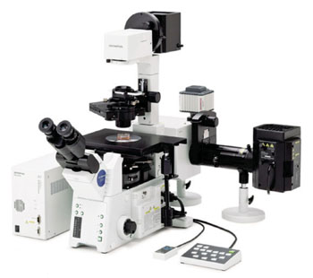 Imagen: El microscopio invertido confocal IX71-DSU con disco giratorio (Fotografía cortesía de Olympus).