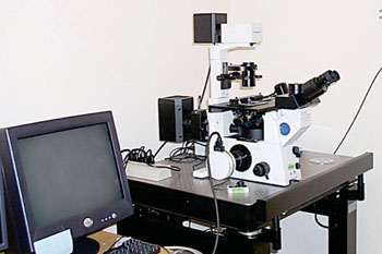 Imagen: Un microscopio invertido IX71, con epifluorescencia, usado para la microscopía, automatizada, de barrido, ortogonal, con resolución de tiempo (Fotografía cortesía de la Universidad de Macquarie).