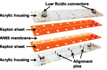 Imagen: El dispositivo de microfluidos con membranas, para la desglicerolización de los glóbulos rojos (Fotografía cortesía de la Universidad Estatal de Oregón).