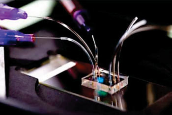 Imagen: El dispositivo de microfluidos para determinar los patrones de movilidad de los neutrófilos (Fotografía cortesía del Centro de Recursos BioMEMS, Hospital General de Massachusetts.