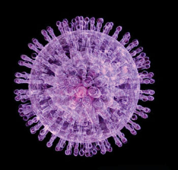 Imagen: Una ilustración tridimensional del virus del herpes simple (Fotografía cortesía de Bryan Brandenburg).
