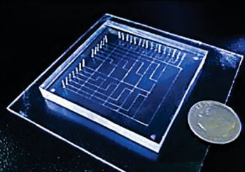 Imagen A: El dispositivo lab-en-un-chip para el diagnóstico de la criptosporidiosis (Fotografía cortesía del profesor Xunjia Cheng).
