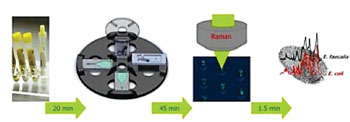 Imagen A: El flujo de trabajo del dispositivo Lab-en-un-disco para la identificación de bacterias en muestras de orina. De izquierda a derecha (i) Muestra de orina de un paciente; (ii) La captura de bacterias en estructuras V-copa, en un Lab-en-un-disco por centrifugación; (iii) el análisis espectroscópico Raman de bacterias capturadas dentro de las V-copas; (iv) la información espectroscópica-tipo huella digital-sobre el patógeno que causa la ITU (Fotografía cortesía de Ute Neugebauer).
