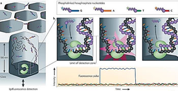 Imagen: La tecnología de secuenciación de ADN de Molécula Individual en Tiempo Real (SMRT) (Fotografía cortesía de Pacific Biosciences).