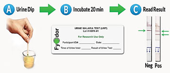 Imagen: La prueba de malaria en orina, un ensayo inmunocromatográfico de flujo lateral (Fotografía cortesía de Fyodor Biotechnologies).