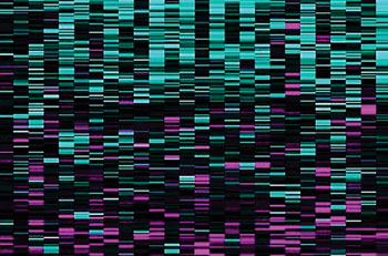 Imagen: Un análisis SURVIV de las isoformas del cáncer de mama desarrolladas en la UCLA. Las líneas azules se asocian con una mayor supervivencia, y las líneas de color magenta con tiempos de supervivencia más cortos (Fotografía cortesía del profesor Yi Xing).
