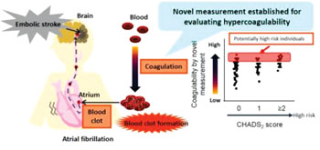 Imagen: Un diagrama que muestra la evaluación de riesgo de accidente cerebrovascular embólico mediante la medición de la coagulabilidad de la sangre (Fotografía cortesía del Departamento de Informática Biofuncional, TMDU).