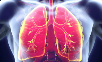 Imagen: La inteligencia artificial (IA) se puede utilizar para ayudar a mejorar la exactitud del diagnóstico en las enfermedades pulmonares (Foto cortesía de la IANS).
