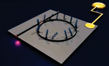 Imagen: Un dispositivo electro-óptico: los contactos óhmicos fabricados en el sustrato de silicio permiten el control electroquímico sobre la superficie del sensor (Fotografía cortesía de la Universidad de York).