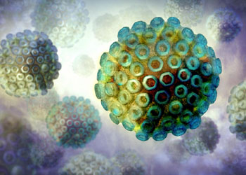 Imagen: Las proteínas del virus de la fiebre del Valle del Rift (Fotografía cortesía de Medical Xpress).