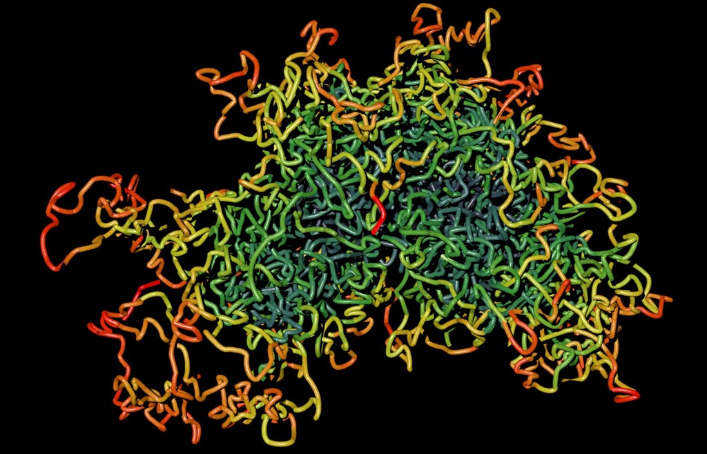 Imagen: Un modelo en 3D de un cromosoma, usando la técnica de visualización Hi-C (Fotografía cortesía del Instituto Babraham).