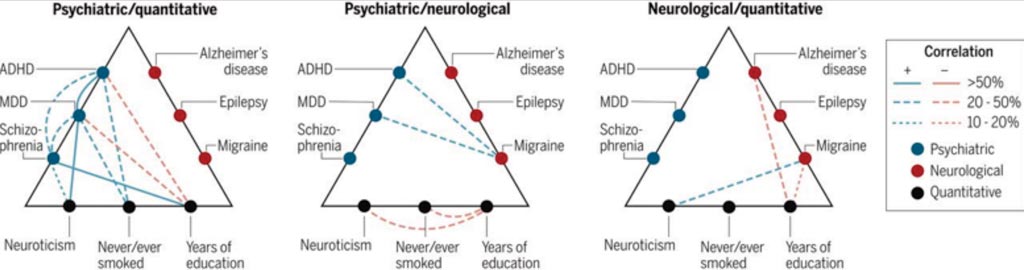 Imagen: Correlaciones de riesgo genético entre los trastornos cerebrales y los fenotipos cuantitativos (Fotografía cortesía del Consorcio Brainstorm).
