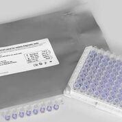 Imagen: El panel recombinante de histidina rica en proteínas 2 (HRP2) para las pruebas diagnósticas de malaria (Fotografía cortesía de Microcoat Biotechnologie).