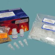 Imagen: El kit de limpieza UltraClean PCR (Fotografía cortesía de MO BIO Laboratories).