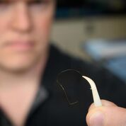 Imagen: El Dr. Brian Geiss muestra un microalambre de oro que tiene una cuarta parte del tamaño de un cabello humano (Fotografía cortesía de John Eisele, Fotografía de la Universidad del Estado de Colorado).
