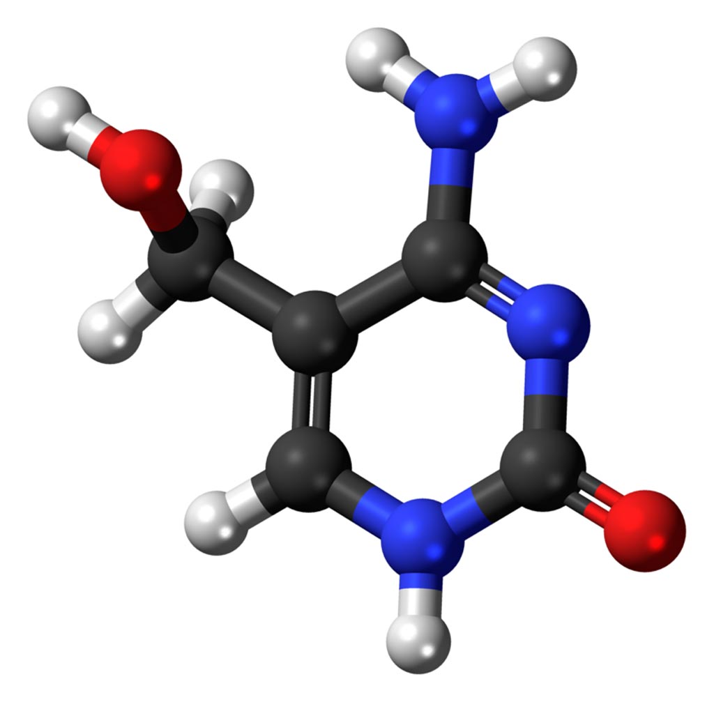 Imagen: Un modelo de bola y palo de la molécula de 5-hidroximetilcitosina (5hmC) (Fotografía cortesía de Wikimedia Commons).