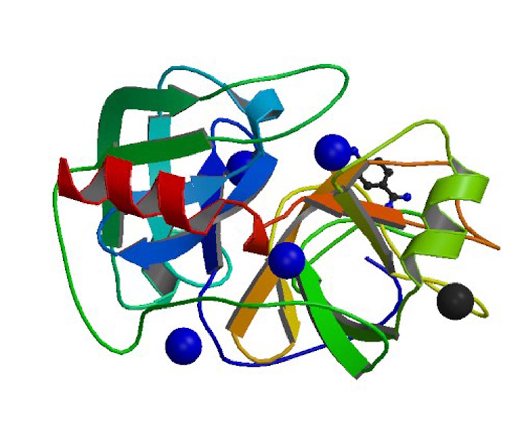 Imagen: La proteína, calicreína humana 4 (KLK4) formando un complejo con níquel y p-aminobenzamidina (Fotografía cortesía de Wikimedia Commons).