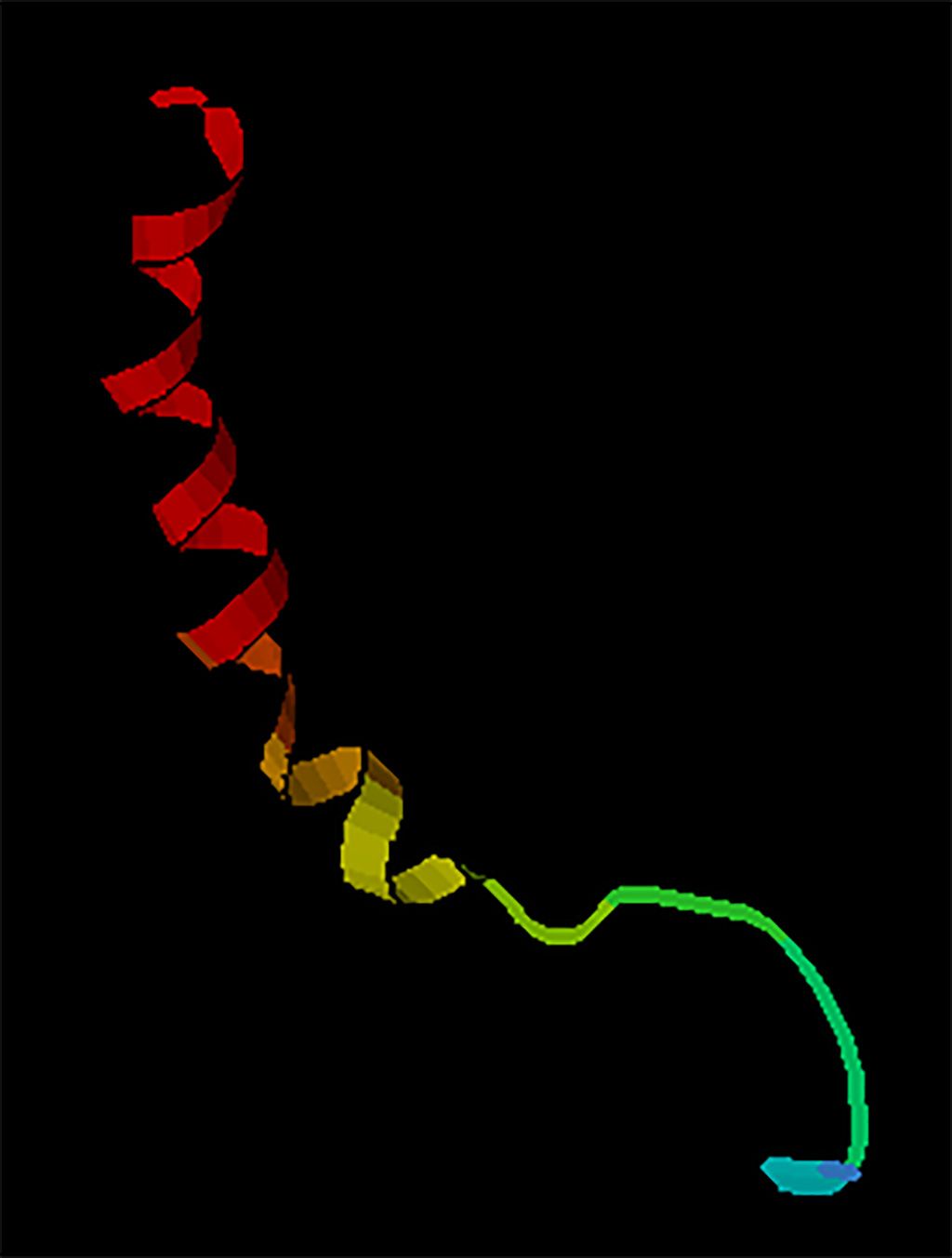 Imagen: Estructura de la solución de RMN del neuropéptido Y (Fotografía cortesía de Wikimedia Commons)