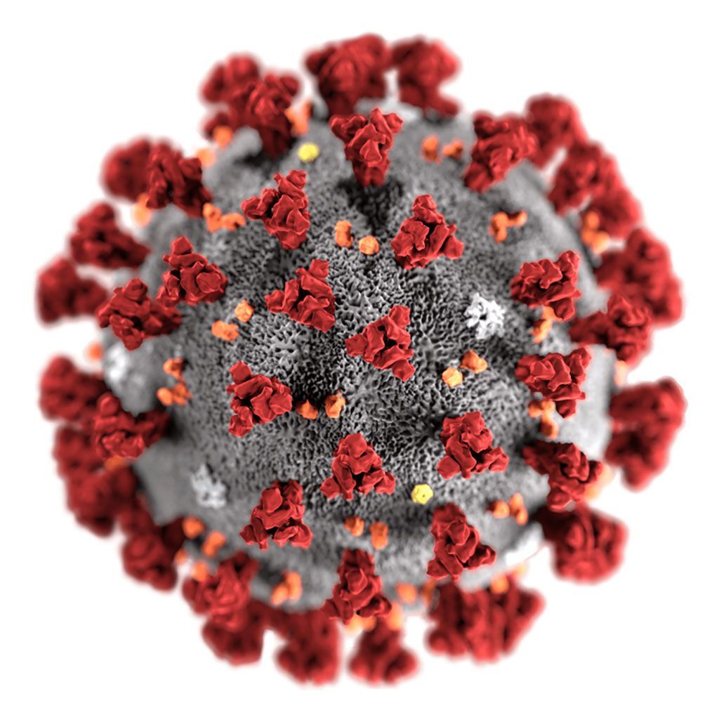 Imagen: Ilustración de un virión del nuevo coronavirus de 2019 (nCoV) (Fotografía cortesía de Alissa Eckert, MS / CDC).