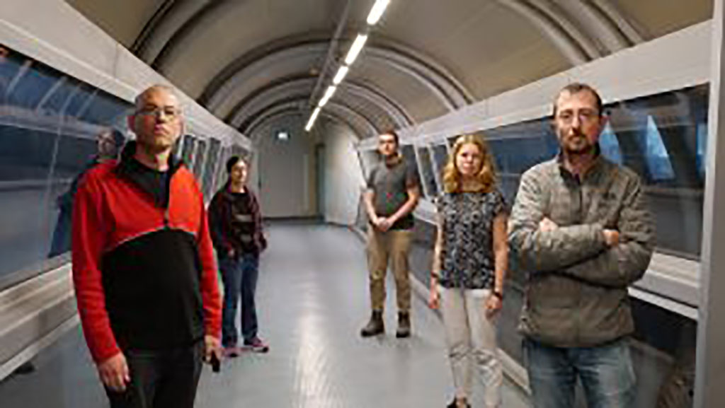 Imagen: Investigadores israelíes introducen método de mezcla de muestras para pruebas del COVID-19 (Fotografía cortesía del Technion – Instituto Israelí de Tecnología)