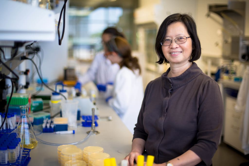 Imagen: Directora del Instituto de ciencias Biomoleculares de la FIU, Yuk-Ching Tse-Dinh (Fotografía cortesía del Instituto de Ciencias Biomoleculares de la FIU)