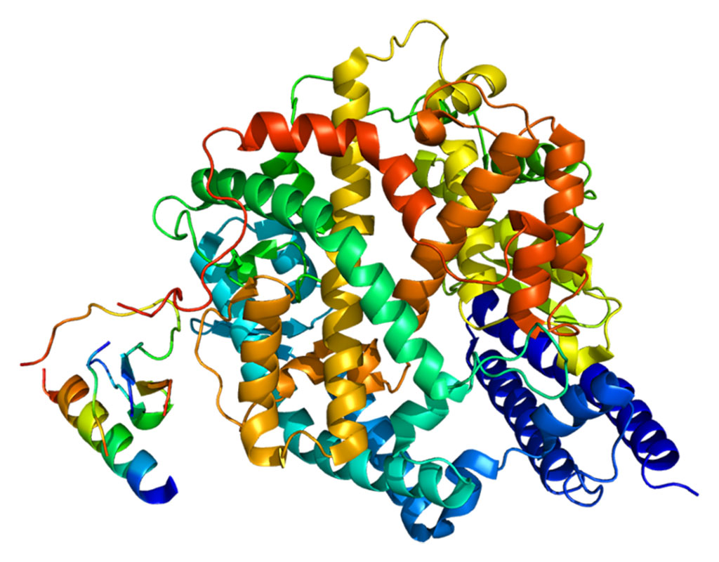 Imagen: Estructura de la proteína enzima convertidora de angiotensina 2 (ACE2) (Fotografía cortesía de Wikimedia Commons)