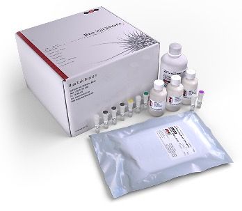 Imagen: El kit V-Plex del Panel 1 proinflamatorio humano (Fotografía cortesía de Meso Scale Diagnostics).