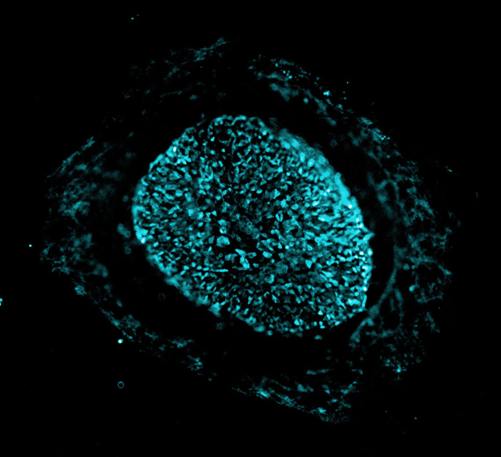 Ilustración Ilustración