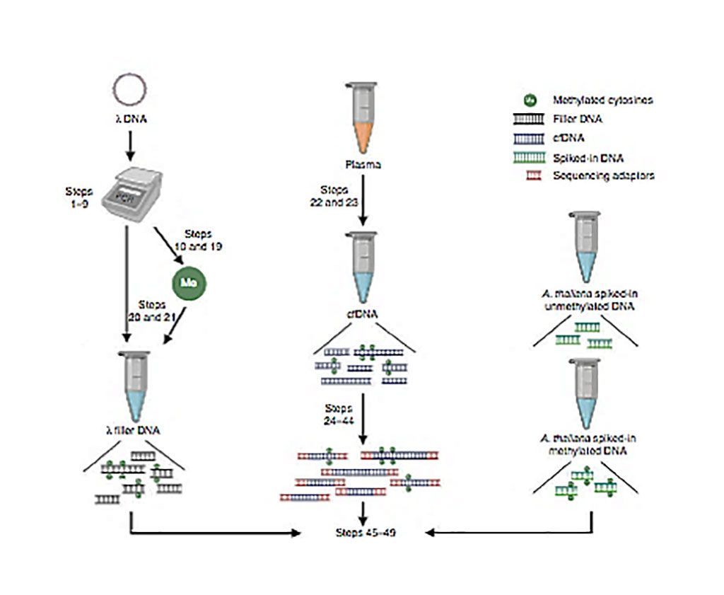 Imagen: Diagrama esquemático de inmunoprecipitación de ADN metilado libre de células y secuenciación de alto rendimiento (cfMeDIP-seq) (Fotografía cortesía del Centro de Cáncer Princesa Margarita).