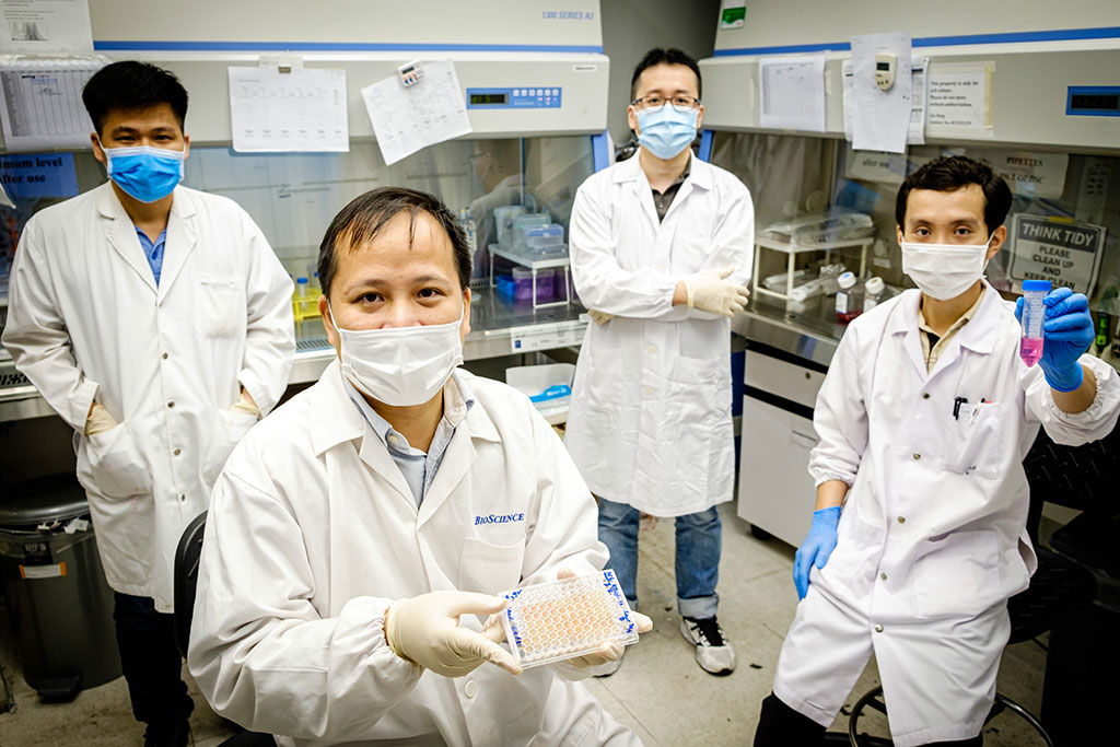 Imagen: Un compuesto nuevo reduce la respuesta inmune hiperactiva relacionada con infecciones graves por COVID-19 (Fotografía cortesía de la Universidad Tecnológica de Nanyang)