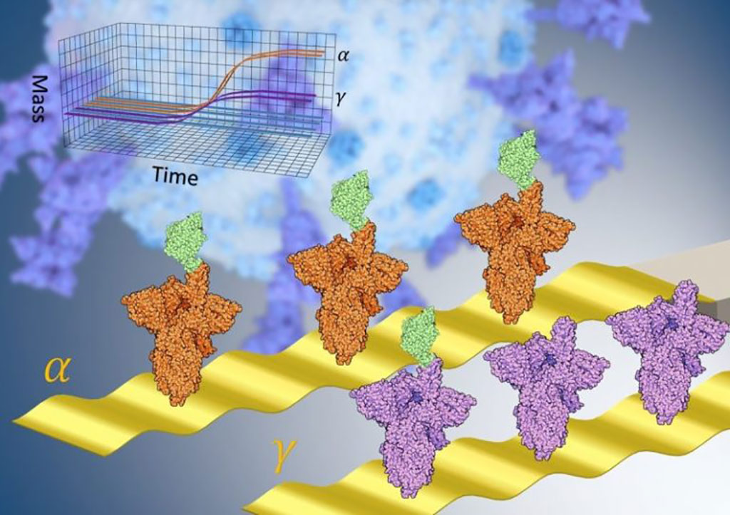 Imagen: Nueva técnica nanomecánica para pruebas rápidas, de un solo paso y de inmunoafinidad cuantifica rápidamente la transmisibilidad de las variantes de la COVID-19 (Fotografía cortesía del Trinity College Dublin)