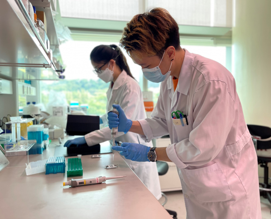 Imagen: Una prueba de sangre en papel recientemente desarrollado detecta la inmunidad a la COVID-19 en 10 minutos (Fotografía cortesía de la Alianza Singapur-MIT para la Investigación y la Tecnología)