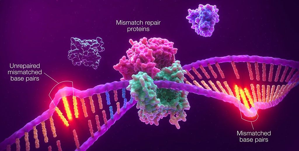 Imagen: El sistema de análisis MSI V1.2 de Promega y los sistemas LMR-MSI son métodos basados en PCR para detectar la inestabilidad de microsatélites (MSI) en tumores sólidos (Fotografía cortesía de Promega)