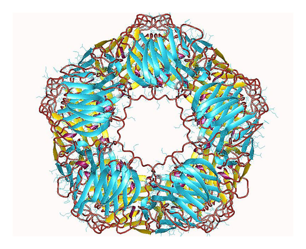 Imagen: Representación de la estructura de la proteína C reactiva (PCR) (Fotografía cortesía de Wikimedia Commons)