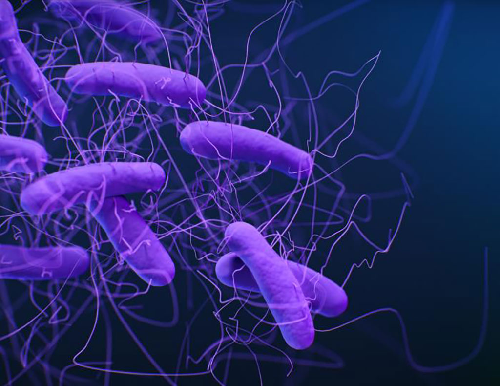 Imagen: Una ilustración médica de la bacteria Clostridioides difficile (Fotografía cortesía de Jennifer Oosthuizen, MA).