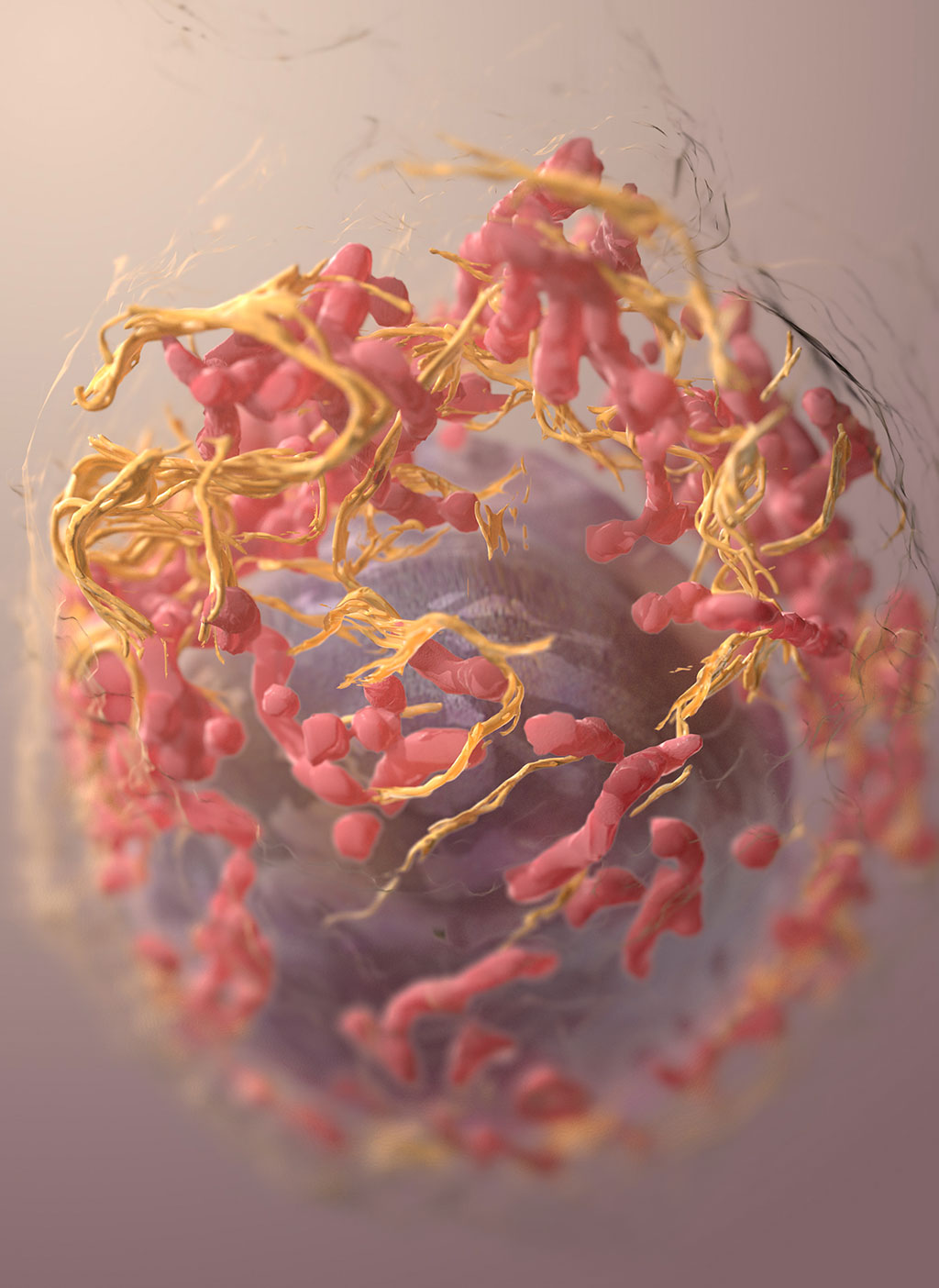 Imagen: Las proteínas podrían algún día permitir que se realice un examen de detección de cáncer de mama con un análisis de sangre (Fotografía cortesía de Unsplash)
