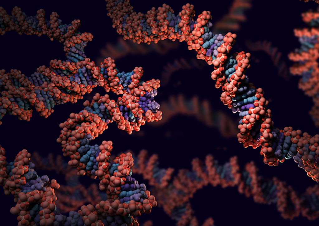 Imagen: Hebras de ADN (Fotografía cortesía del Instituto Garvan de Investigación Médica)
