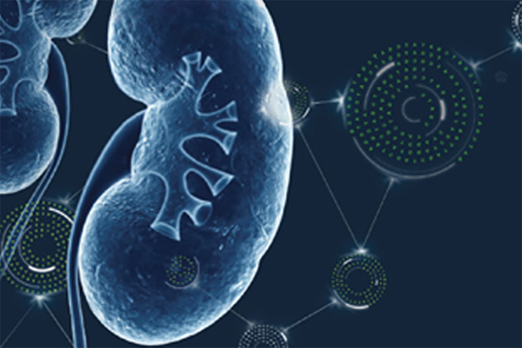 Imagen: Renasight es una prueba para determinar si existe una causa genética para la enfermedad renal de una persona o si existe un mayor riesgo hereditario debido a antecedentes familiares. La prueba utiliza una muestra de sangre o saliva para analizar 385 genes asociados con la enfermedad renal crónica (ERC) (Fotografía cortesía de Natera)