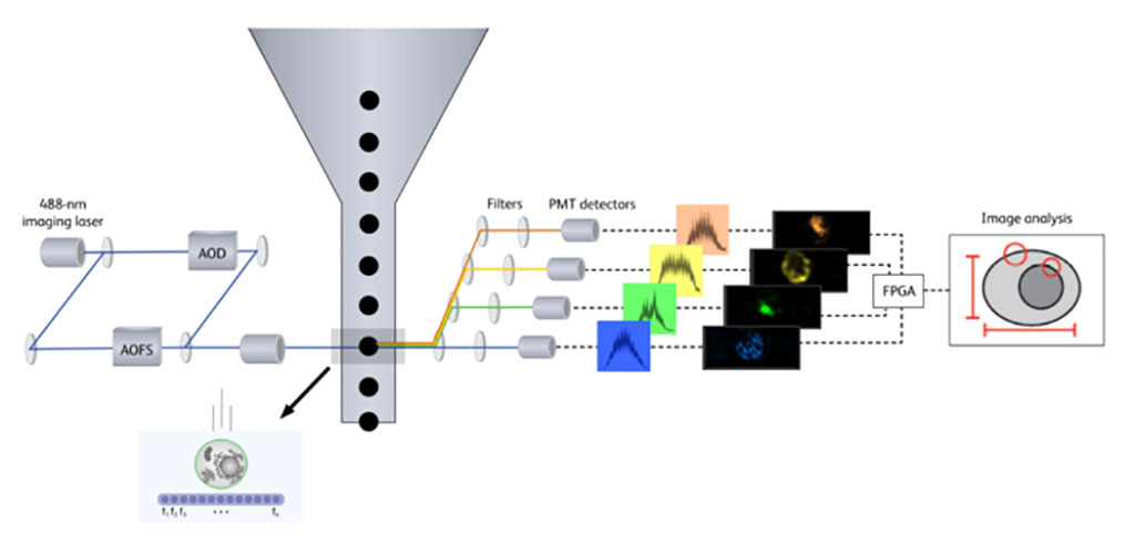 Imagen: Esquema del método de clasificación de células basado en imágenes, la Tecnología de Imágenes BD CellView (Fotografía cortesía de BD Biosciences)