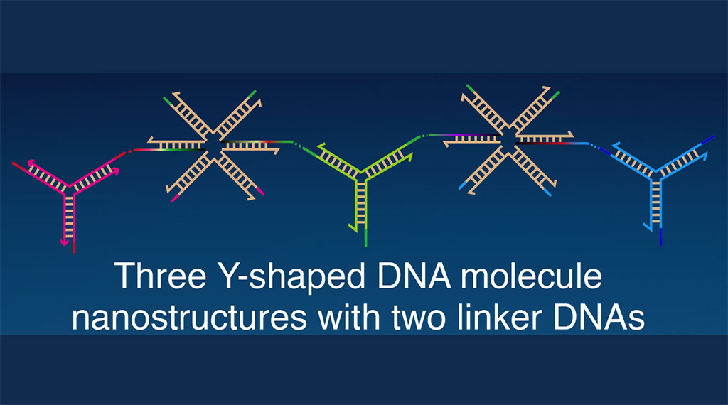 Imagen: Las gotitas de ADN juegan un papel esencial en las funciones celulares (Fotografía cortesía de la Universidad Tecnológica de Tokio)